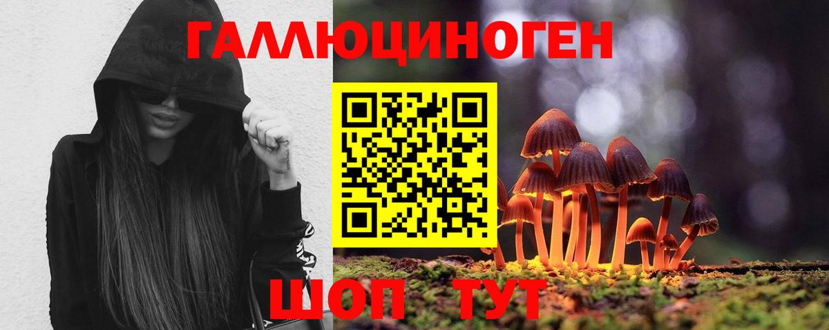 Алексин  Псилоцибиновые грибы MAGIC MUSHROOMS  Вход с VPN 